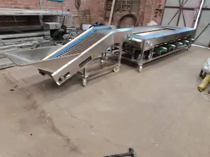 Vegetable & Fruit Sorting and Grading Machine