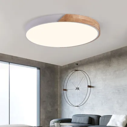 Colorful LED Ceiling Light for Living Room