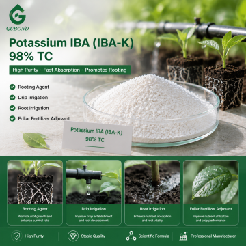 Potassium IBA 98% TC Water-Soluble Auxin for Rooting Formulations
