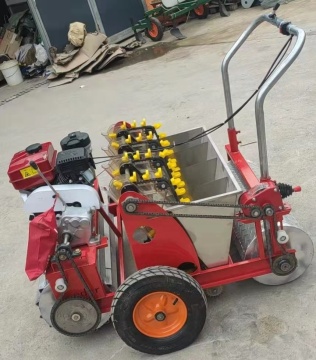China Supply 2 Rows Hand Garlic Planter 3 Rows Manual Garlic Seeder Machine