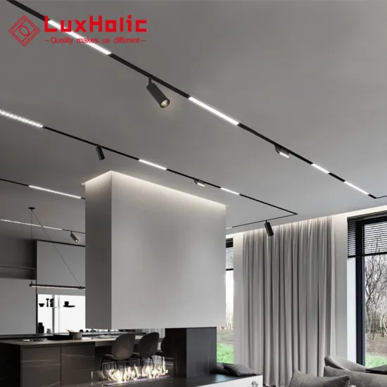 Magnetic Levitating Track System: LuxHolic 24V LED Light Rail