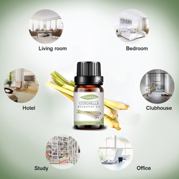 Wholesale bulk price mosquito natural citronella oil 10ml