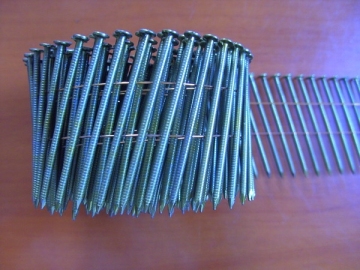Zinc coated ring shank coil nail
