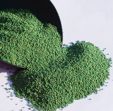 High Quality Bermuda Grass Seeds For Sale