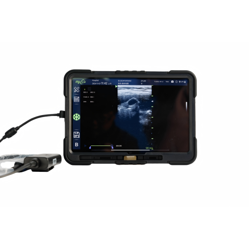 livestock ultrasound machine for sale