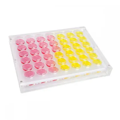Luxury Lucite 4 In A Row Game Set
