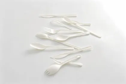 Disposable Tableware