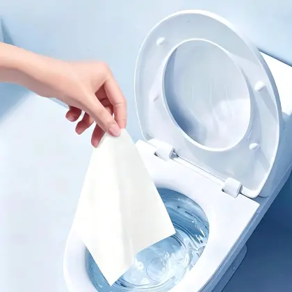 80ct Flushable Toilet Wipes, Antibacterial Fresh Wet Ones Wipes