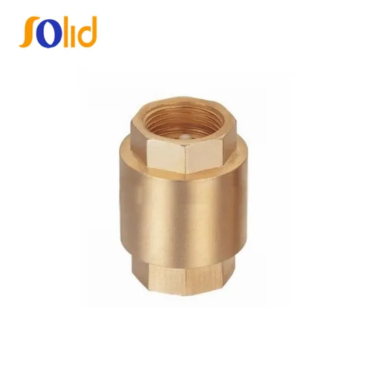 Non Return Brass Vertical Spring Check Valve