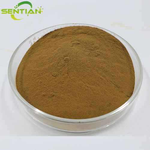 Natural Gorgon Extract for Health