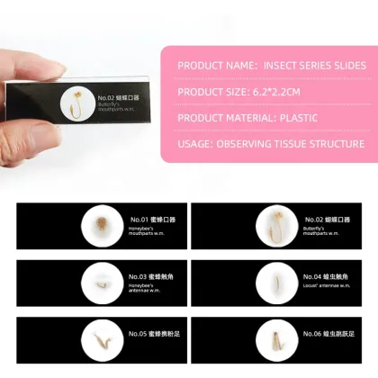 Insect Microscope Slides for Science Education and Teaching