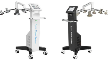 6D Lipo 콜드 레이저 뚱뚱한 손실 바디 조각