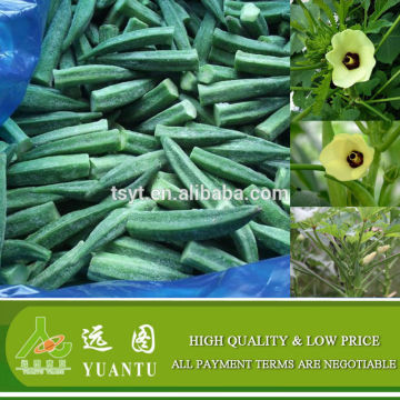 Health Food IQF Frozen Whole Okra, IQF Frozen Okra Cut, IQF Frozen Okra Slice