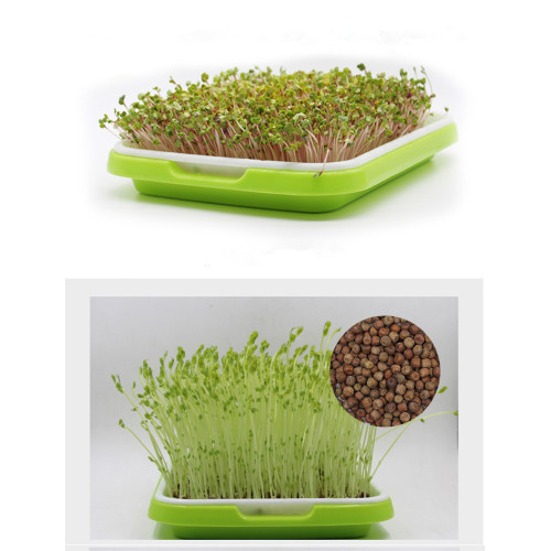 seedling tray for hydroponic vegetable