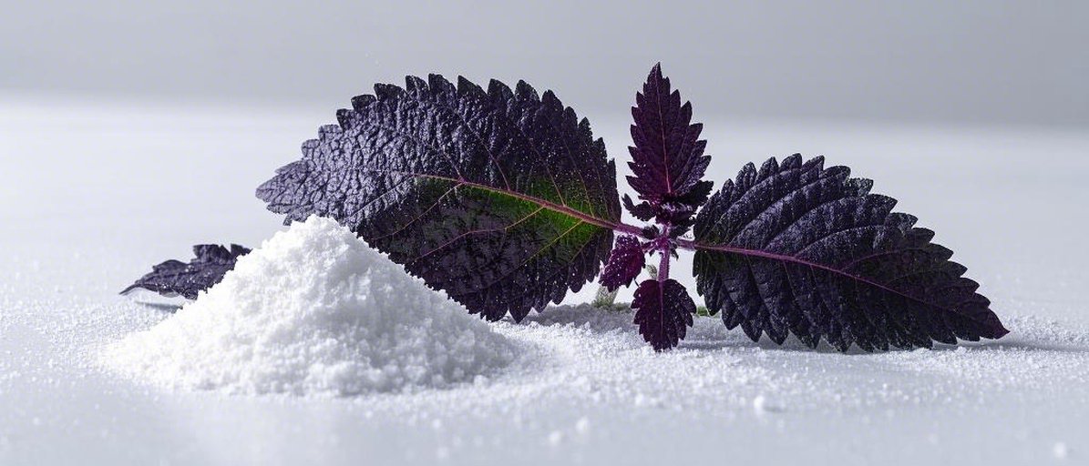 Ambroxan powder suppliers