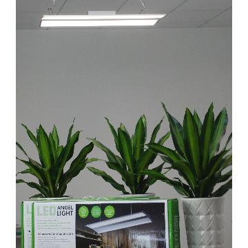 suspension pendant light 800*300 40W 50W  led ceiling panels