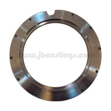 Stainless Steel Flange