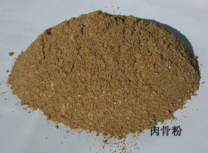 Meat and Bone Meal of rich aroma