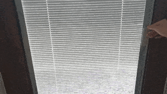 FORGE_WINDOW-4_compressed