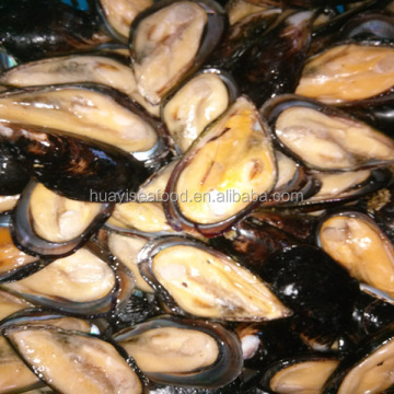 Frozen Green Lipped Mussel Meat