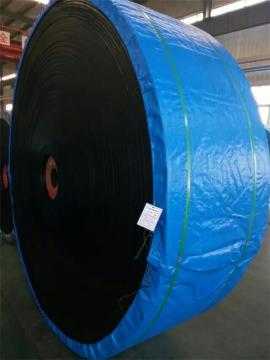 Hot selling conveyor belt used
