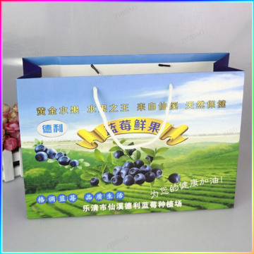 Offset printed paper bag for fruit package