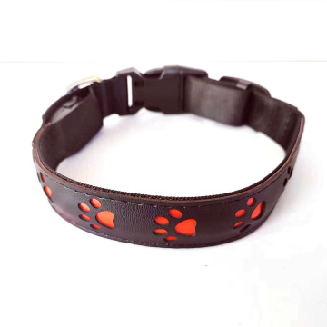 Chinese Factory Price LED Light Up Dog Collar and Leash Set