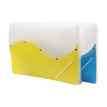 Plastic PP File Folders with Customzied Size