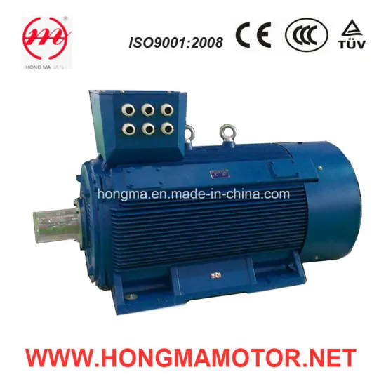 HMI Series Low-Voltage Large-Power Totally Closedsquirrel-Cage Three Phase Asynchronous Motors
