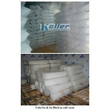 Large Capacity Cold Room (Walk In Freezer)