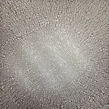 Environmentally Friendly Paint Coated Steel Aluminum