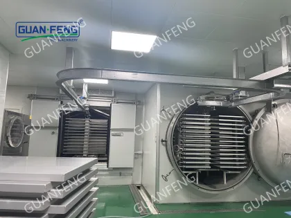 Blueberry Vacuum Fruit Freeze Dryer