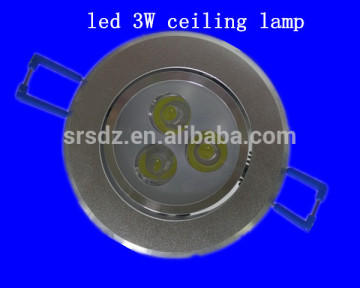 led ceiling garden light for gate