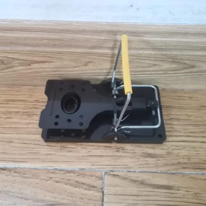 Reusable Plastic Mouse Cage Trap - Rodent Trapper