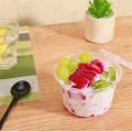 Disposable PET Round Salad Food Container Bowl