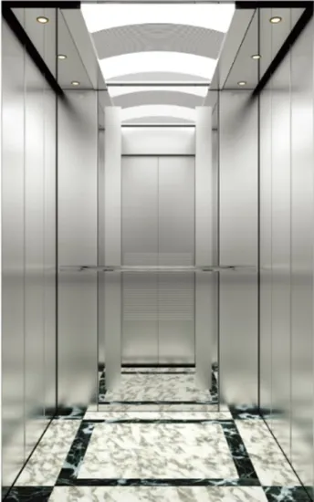 Customized Passenger Elevator