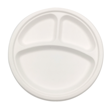 10 في لوحة بيضاوية Bagasse