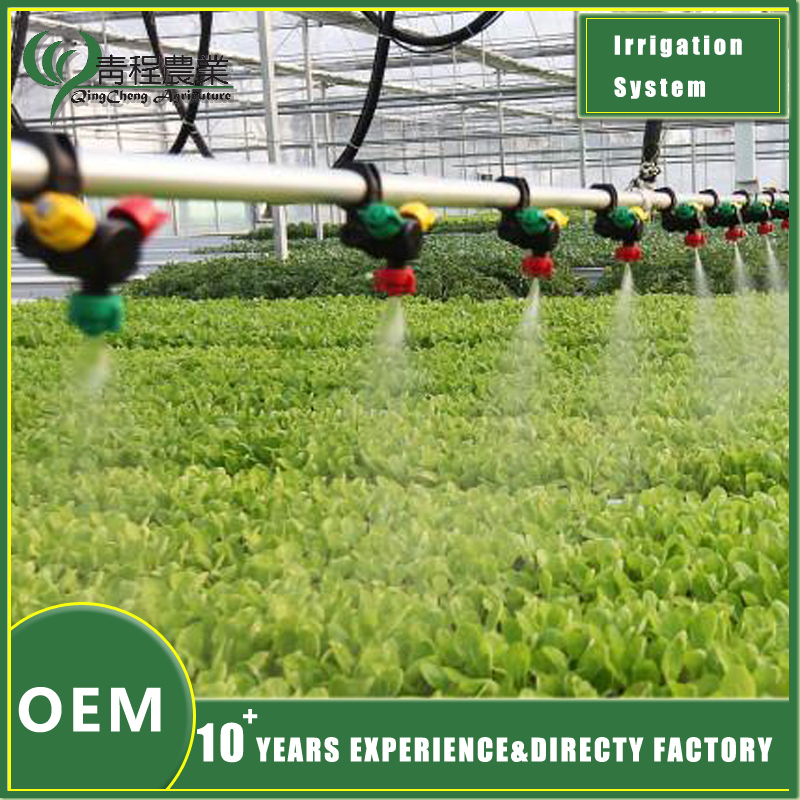 Water Efficient Irrigation Device