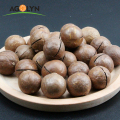 Big Size Geroosterde Macadamia Nuts in Shell