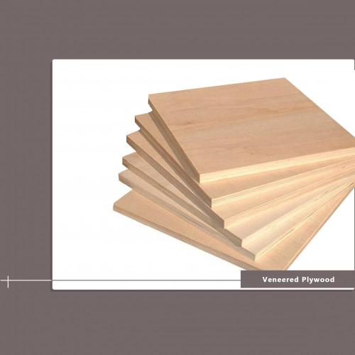 American Standard 12 Mm Packaging Plywood