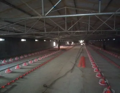 Cowshed steel structure