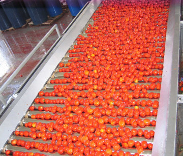 Factory Price Tomato Paste Production Line & Ketchup Production Plant