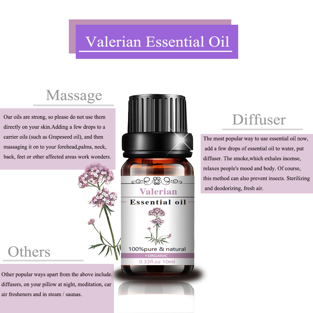 100% Pure Natural Food Grade Valerian Essential Oil Good Price