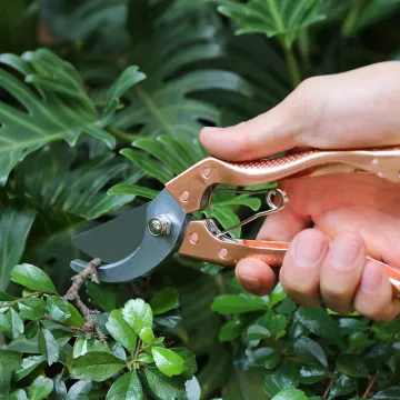 Pruning Shear Flower Cutting Scissors