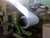 Prepainted galvanized Steel Coil PPGI for fence