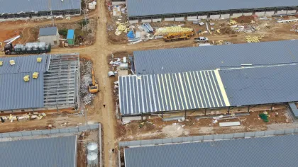 Guigang Chuanshan Sow Farm, Guangxi