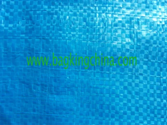 PP woven sack BK-06 (2)