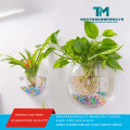 Pote elegante de acrílico transparente com design de aquário