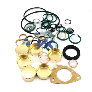 Fuel Injection Pump Repair Kits 2417010045 800584 For Fuel Pump
