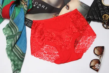 New fation ladys Hollow out sexy Briefs under wear lace fabric briefs knickers under lace under wear color